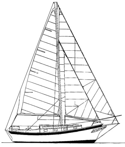 FORTUNE 30 drawing