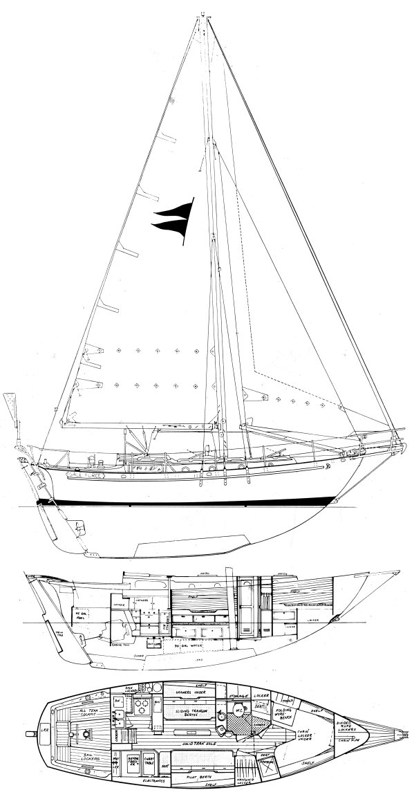 GALE FORCE drawing