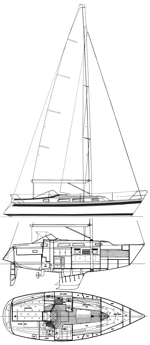 HALLBERG-RASSY 31 drawing