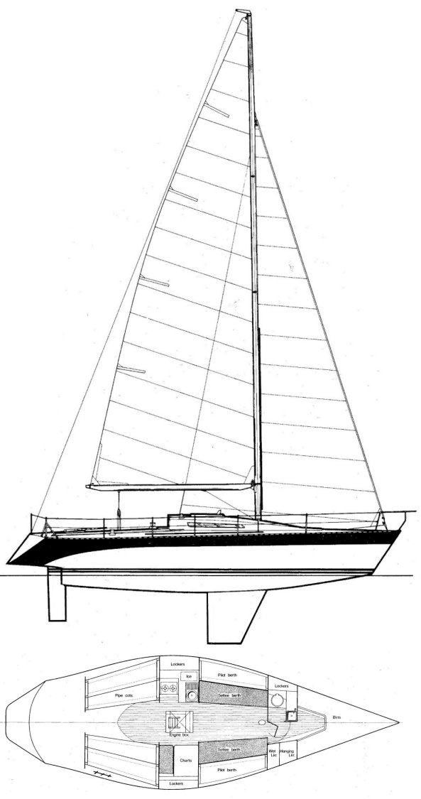 HUSTLER 36 drawing