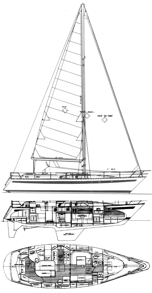 MAPLE LEAF 45 drawing