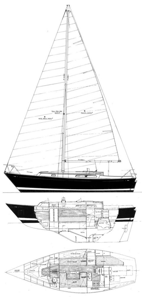 MORGAN 31 (LAVRANOS) drawing