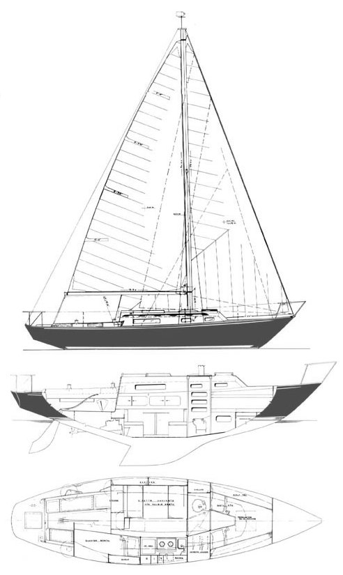 redwing_30_drawing.jpg