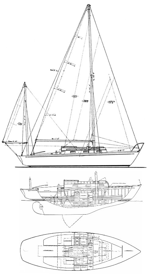 SHAW 24 drawing
