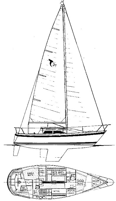 TANZER 31 drawing