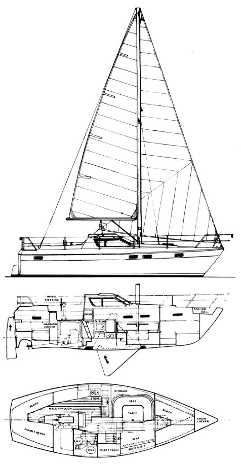 TANZER 10 drawing