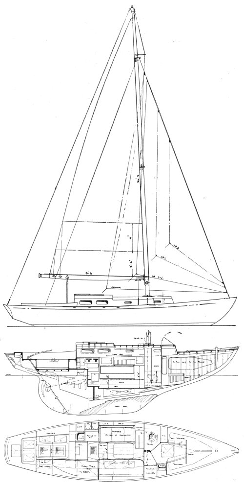 YEOMAN JUNIOR drawing