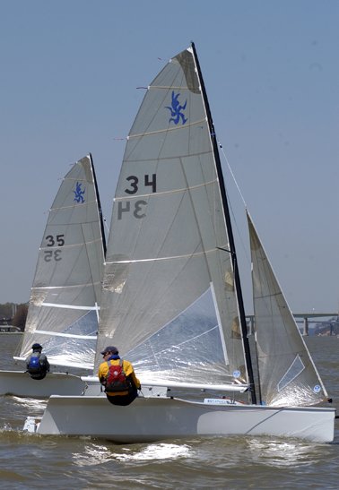 bongo 15 sailboat