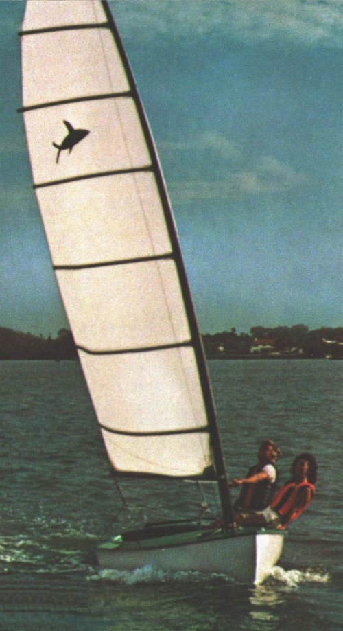 alcort flying fish sailboat