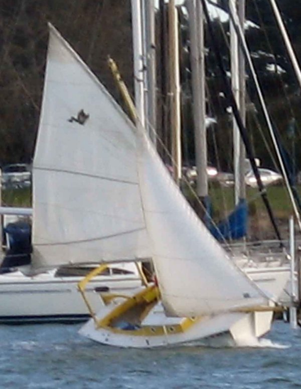super pelican sailboat