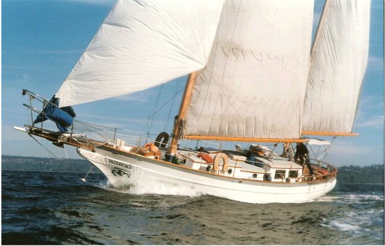 sea wolf sailboat