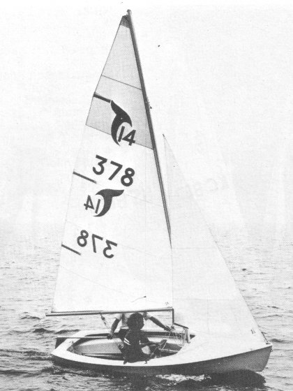 TANZER 14 photo