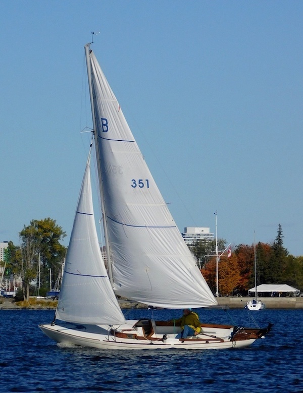 blue nose sailboat