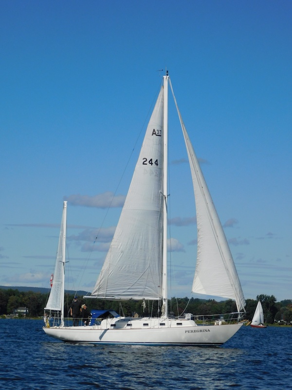 alberg 37 sailboat