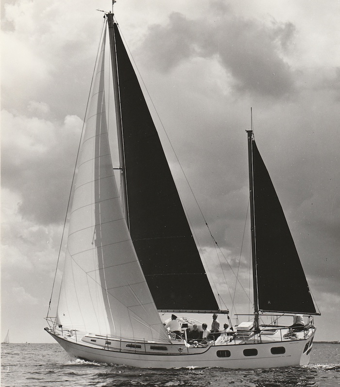 mp 31