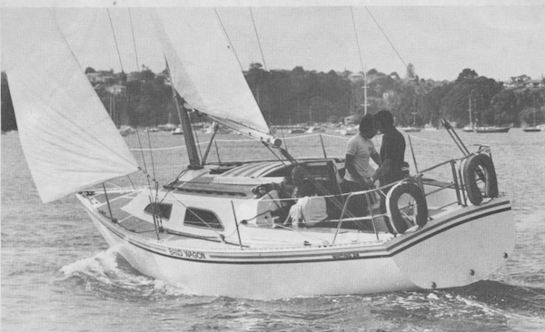 WHITING 29