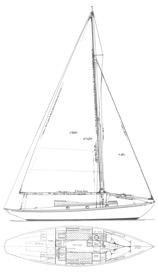 COASTWISE CRUISER (#675)