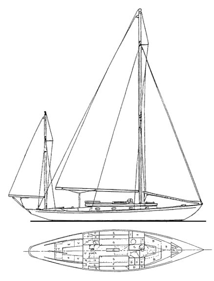 CONCORDIA 40