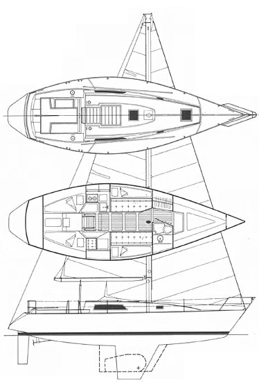 MORGAN 36-4/6