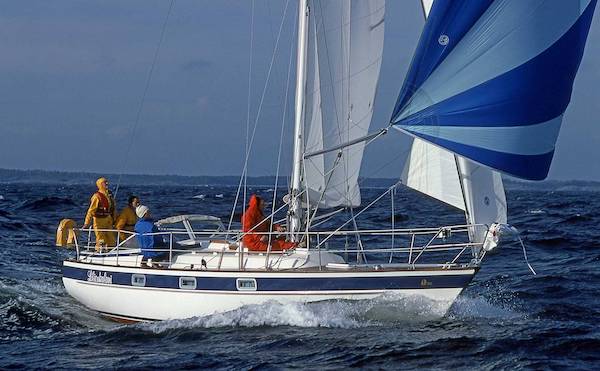 HALLBERG-RASSY 312