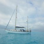 Rhapsode at Little Harbour (4)
